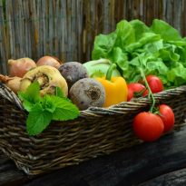 vegetables-vegetable-basket-harvest-garden