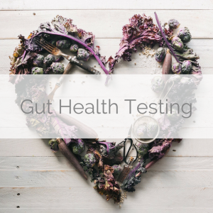 gut health testing at the wellness emporium