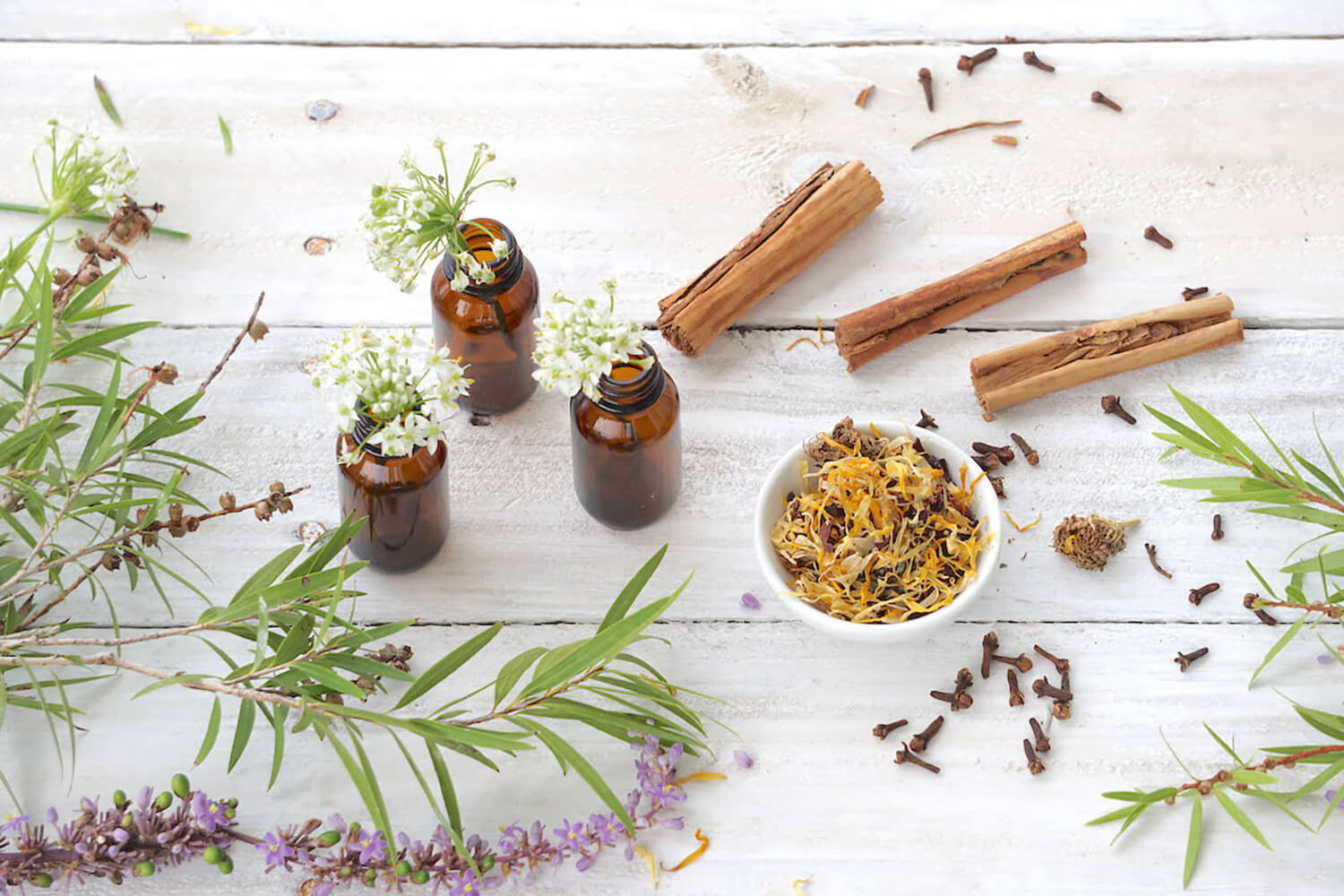 Wellness Emporium Hero - Naturopaths Gold Coast